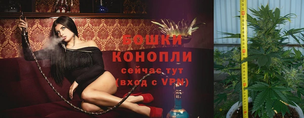 прущая мука Богородицк